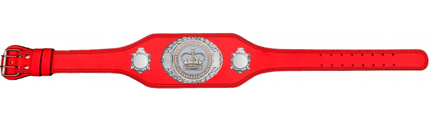 GRAPPLING CHAMPIONSHIP BELT-BUD295/S/GRAPS-4 COLOURS